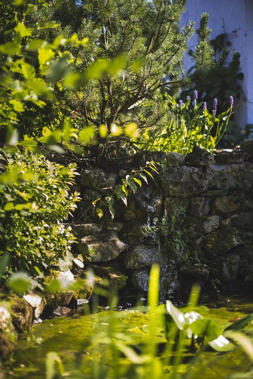 Domaine De Terrac Bed & Breakfast Rimont Екстериор снимка
