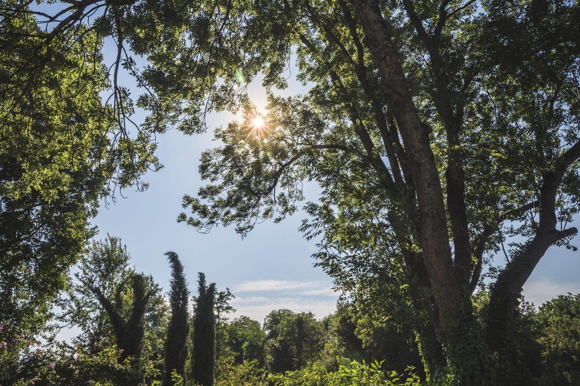 Domaine De Terrac Bed & Breakfast Rimont Екстериор снимка